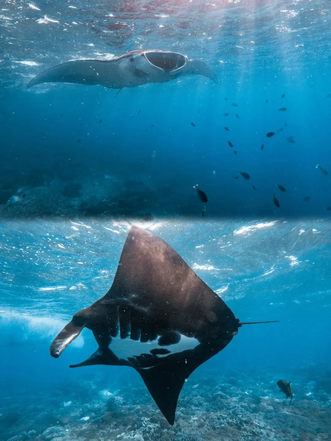 fa8c6c48ea3beb2820ac3e4a3307611c-sz_332460