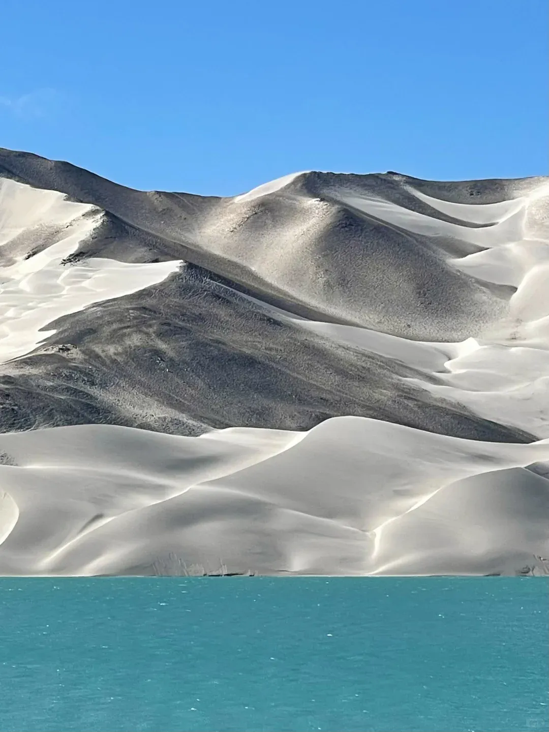 fa9700d341ab2d8d123ef5b1343308fe-sz_1773535