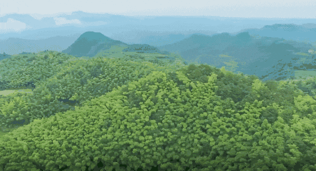 facffae35c6e36e897730935f6d865a2-sz_540624