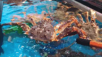 fafec1b91e8a8441169490eaf2ec3de8-sz_113426 fafec1b91e8a8441169490eaf2ec3de8-sz_113426