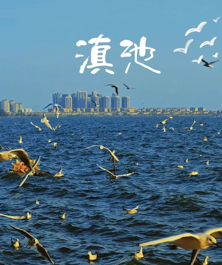 fb1866a59e907ed374b13b18efa5c990-sz_813668-1 fb1866a59e907ed374b13b18efa5c990-sz_813668-1