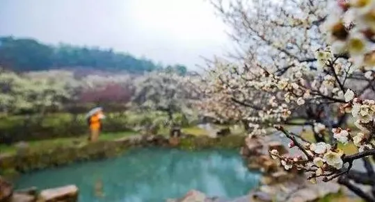 fb291d05d3e80fe3888d3c3d1d9e6ae0-sz_269479