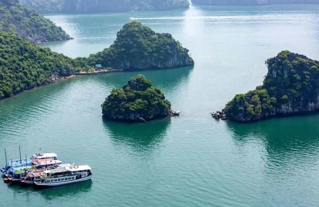 fb833efe6c0e7d2aa3b53e1c8cea0ec5-sz_145348