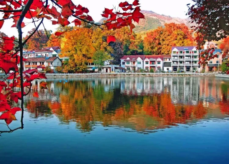 fba0709bd19661252f89a83e50f6e1c6-sz_1652873 fba0709bd19661252f89a83e50f6e1c6-sz_1652873