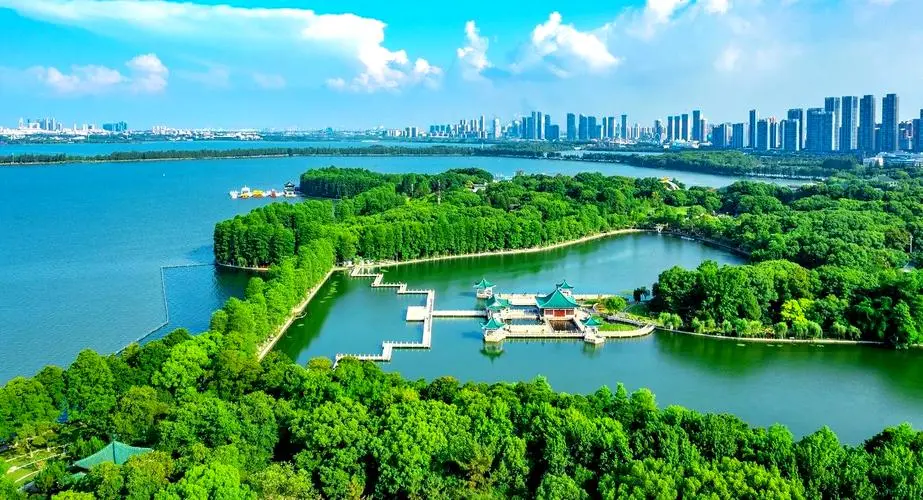 fbbc99f2ec528c1e1993df8bb7a4a3dc-sz_122519