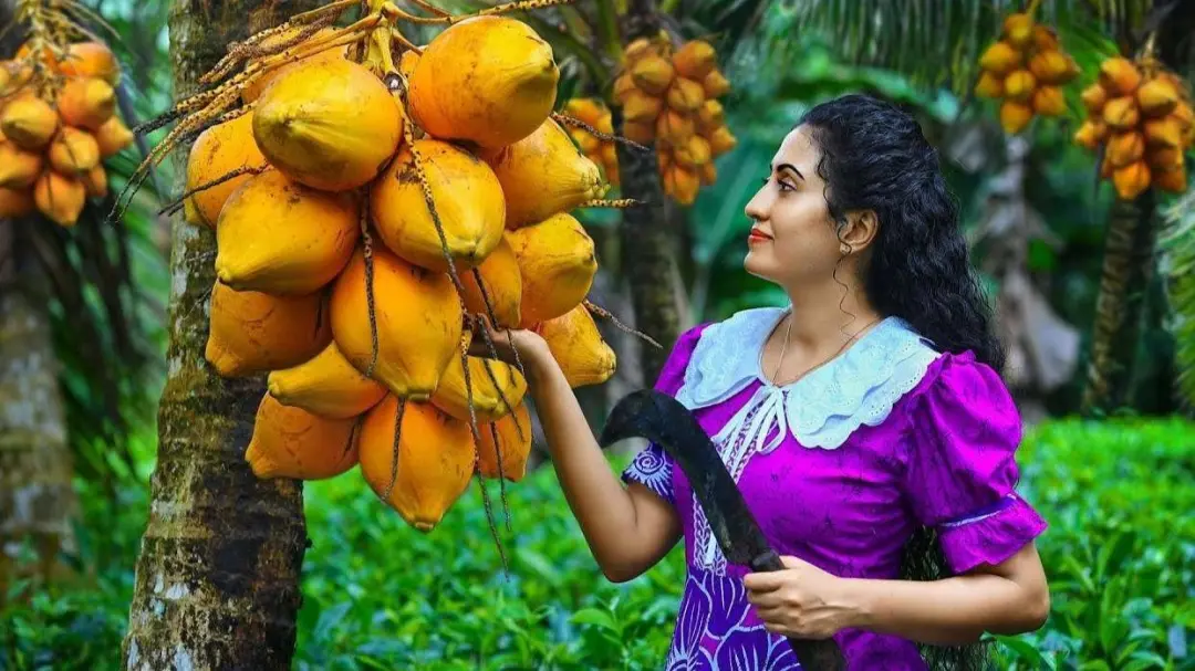 fbc331c7da53f84827c1f4c8917592b1-sz_153340