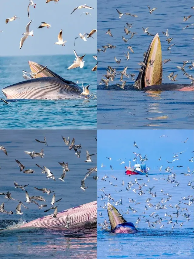 fbc41fab947c1e466951defc3156cd3a-sz_185417