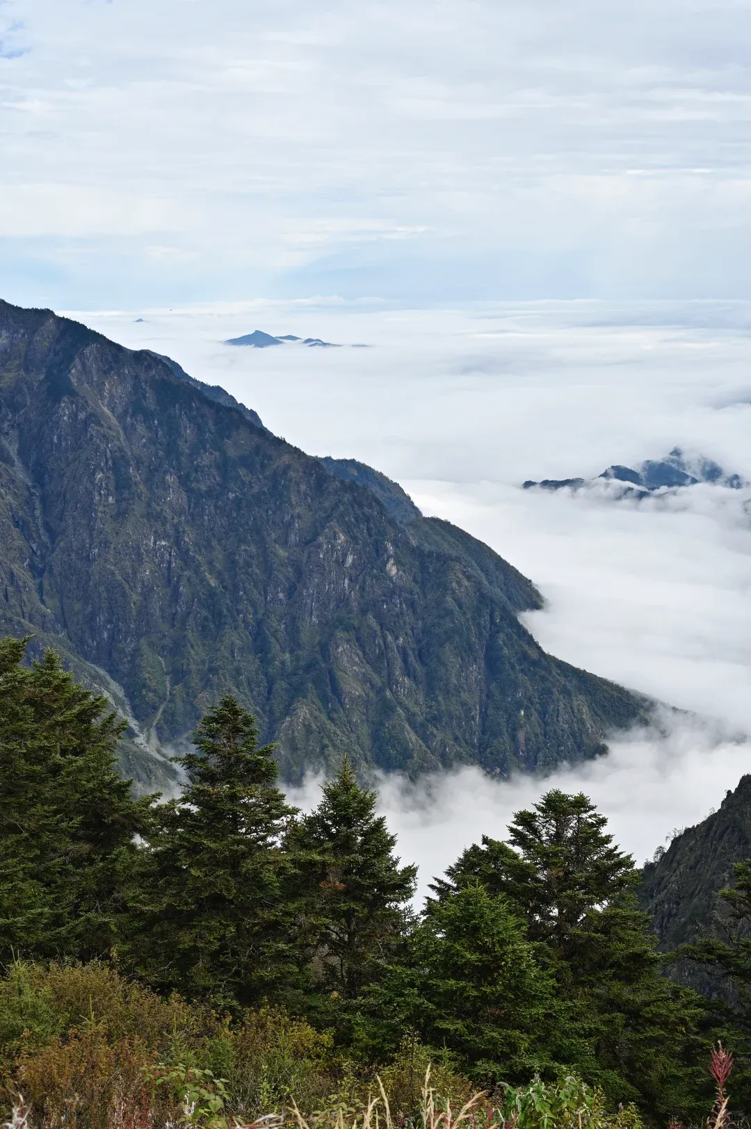 fc591e347da707ce2c0ac8154c560344-sz_2311487