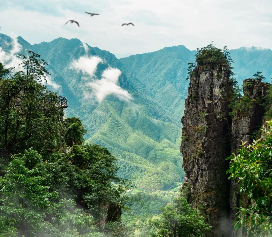 fc59abe2f896edfbac6dbc11772aab0e-sz_2492912