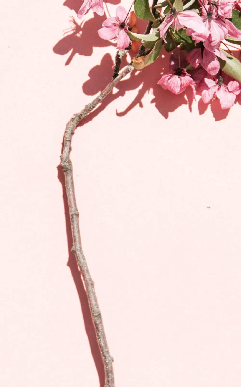 fc7b74e5ee6b9e8a30ea43a3305073ac-sz_629611