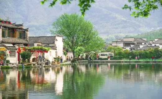 fcf3782ea1a734059cd49ab2bffe50f1-sz_445507