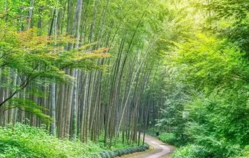 fd72eed2c510f606b7674be723148ac5-sz_436204 fd72eed2c510f606b7674be723148ac5-sz_436204