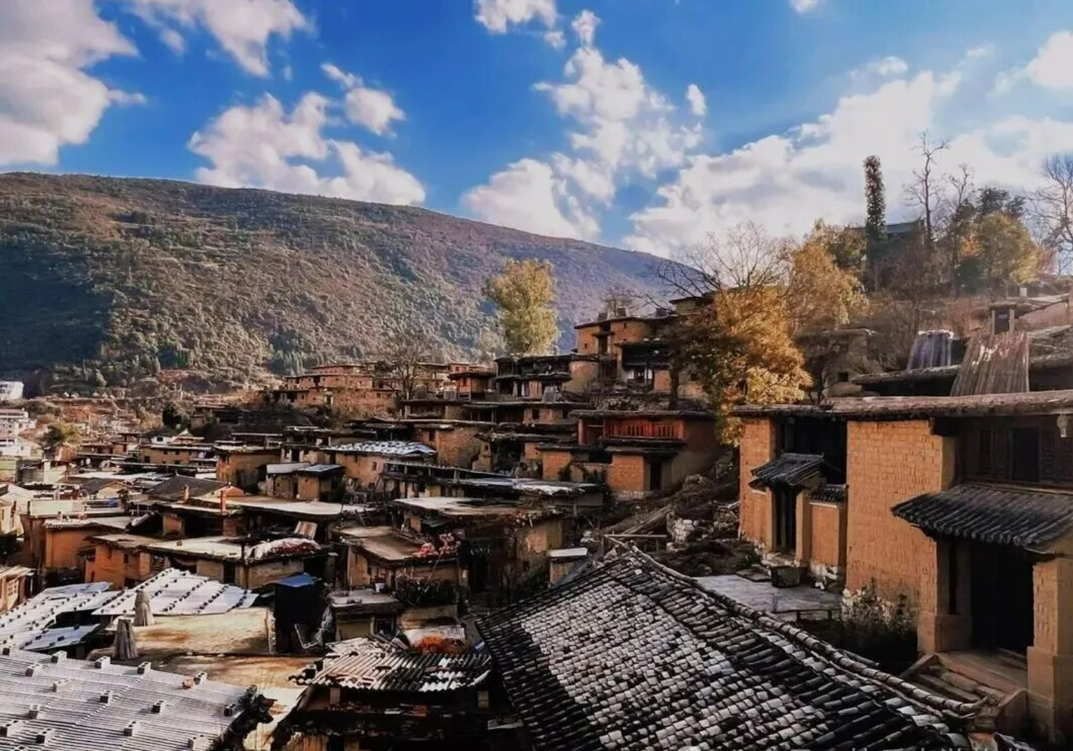 fd7e1373084dcec9ff9f537cb8811c57