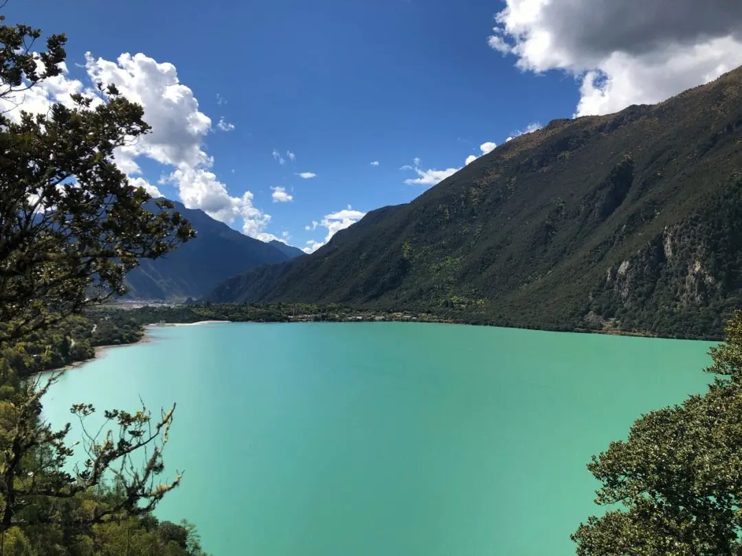 fd9a709bc5c23da5ea7389fd997b7333-sz_123500