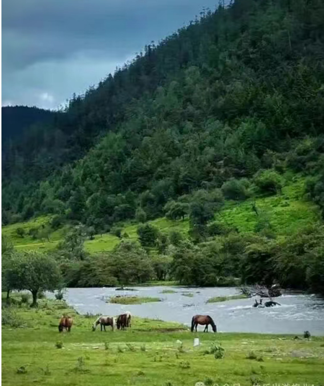 fdafc5f206cf1168620c1417c3ebf466