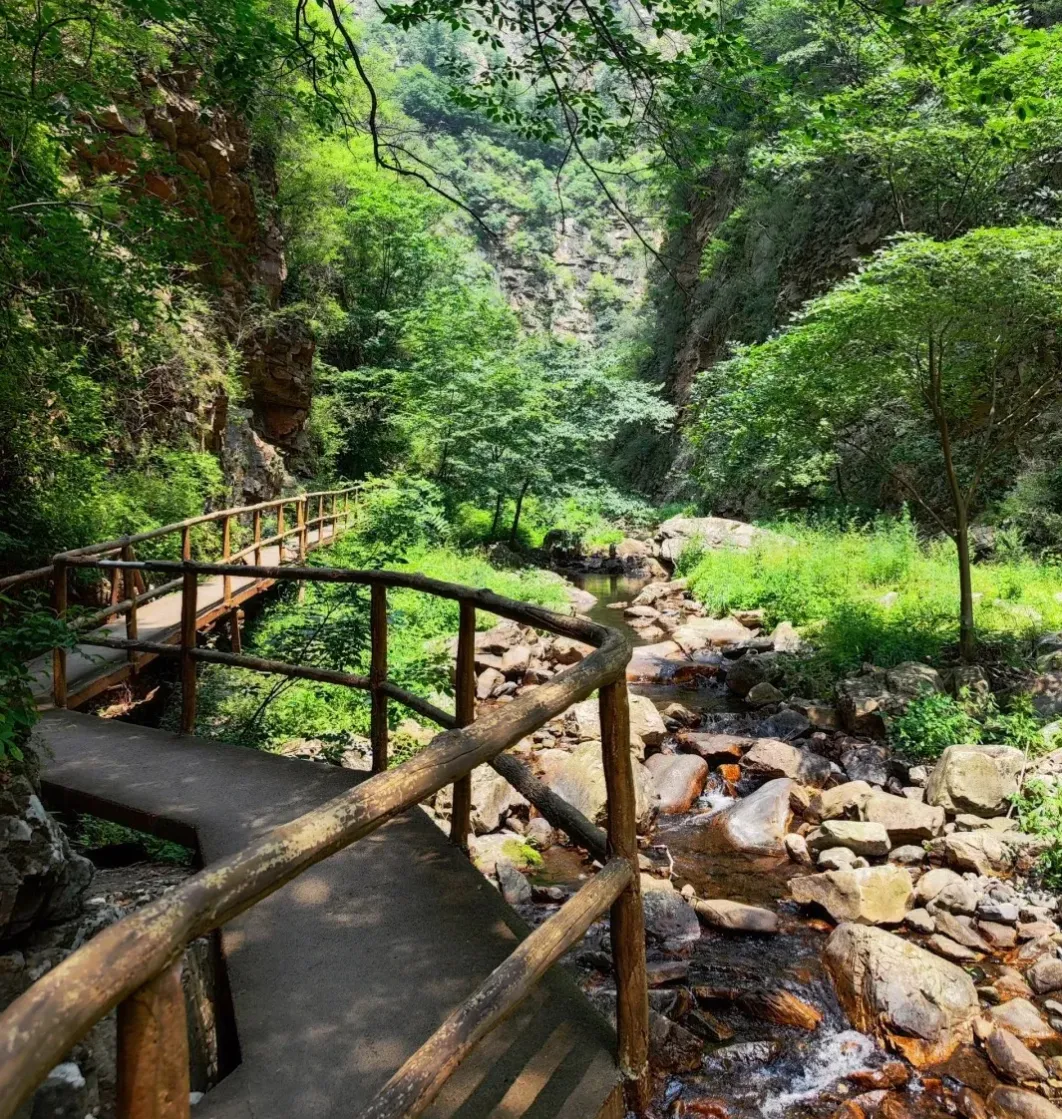 fdc21f1938ce0ddd55d1294175ff00b8-sz_3724024