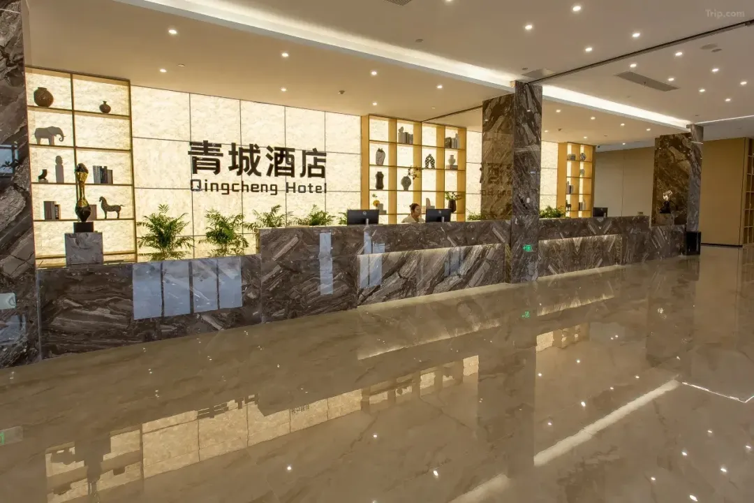 fdc81b077406c9917a7854ecc00775dc-sz_1925206