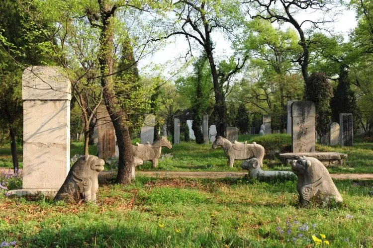 fde08b5b664f5110bd62a467de9b2598-sz_301102-1