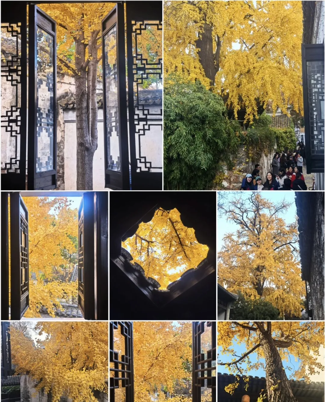 fdfaf0e8da505c08eb2eaa48de1782a0-sz_697567