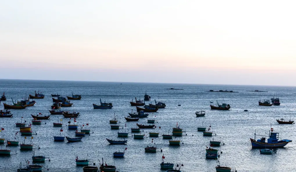 fe340984f16e262ebc5fa97b3284898d-sz_733049