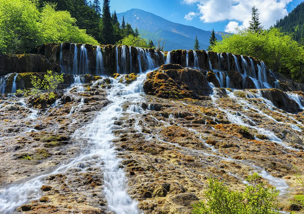 fe4410ac6084b129184792957297a7ce-sz_1231581