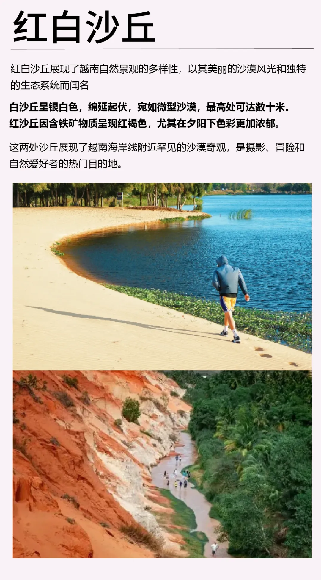 fe7a3b38b2d0115668abe80cfa7787ba-sz_1076258