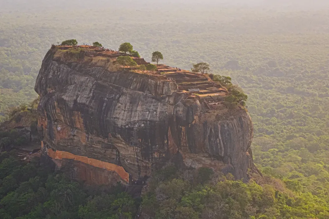 fea078371b039a517be8a8833872a883-sz_2609872-2