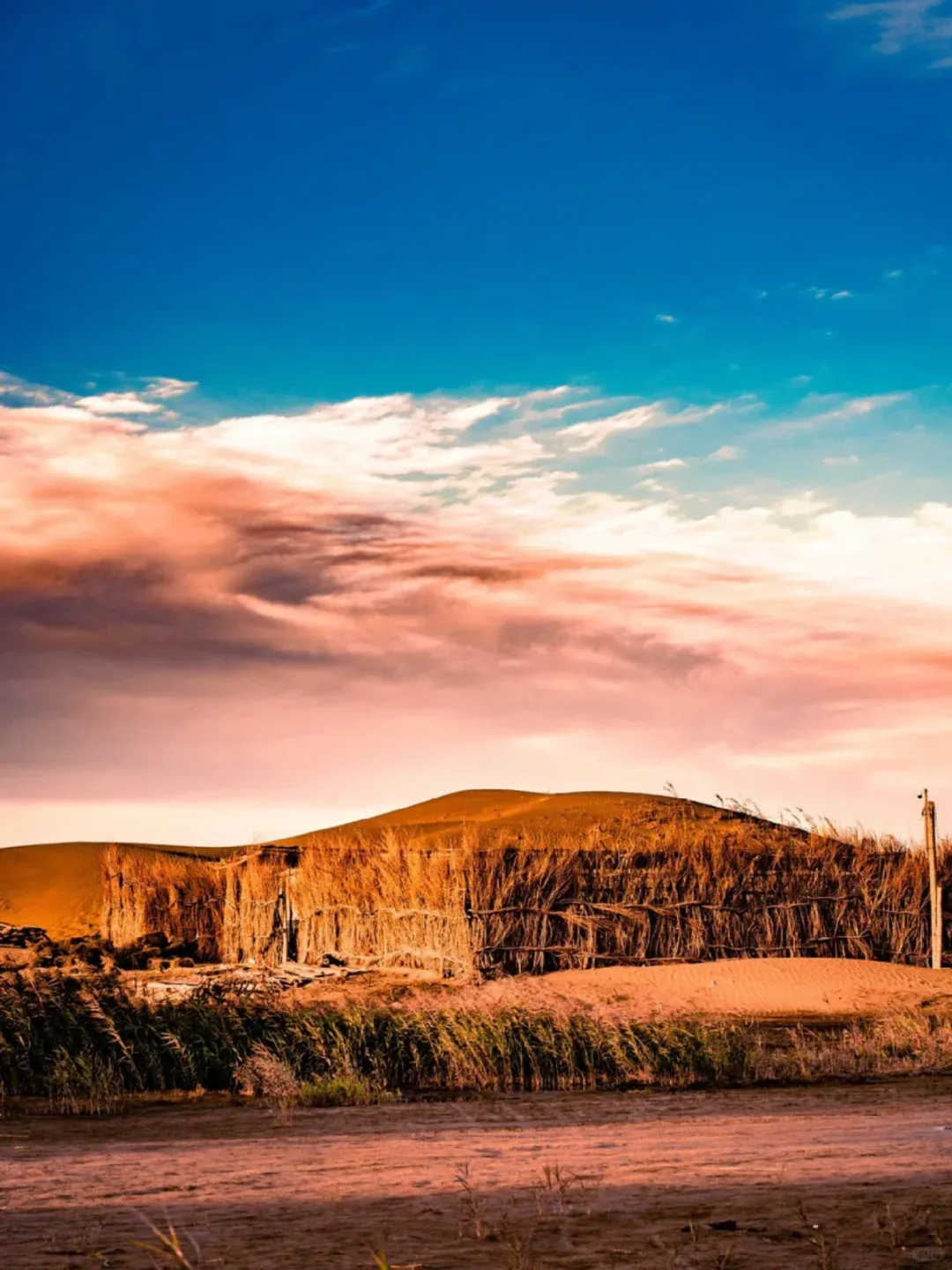 fea8b731603816c639ab80269c443850-sz_2381089