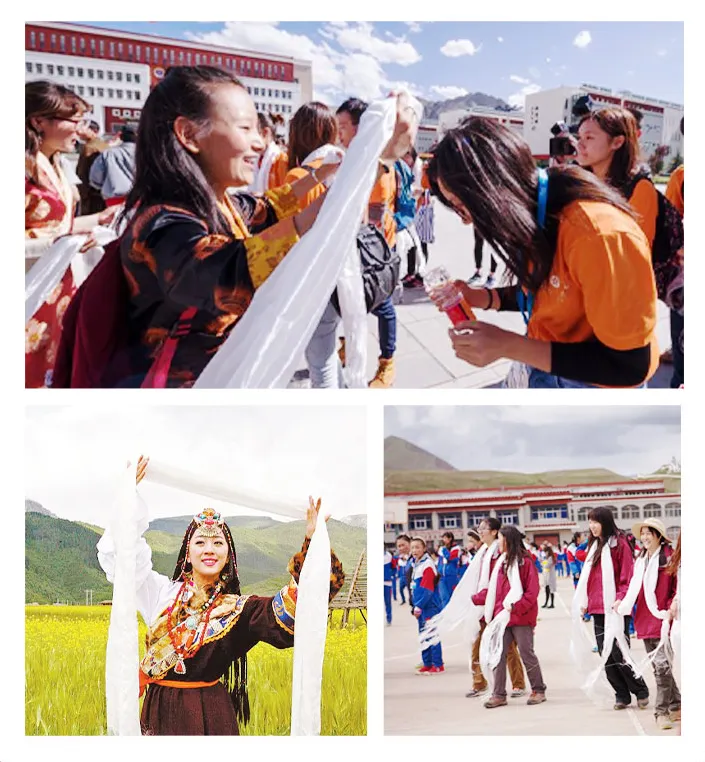 fec0cadcff59ed8da18293b3cd6958d1-sz_1229245