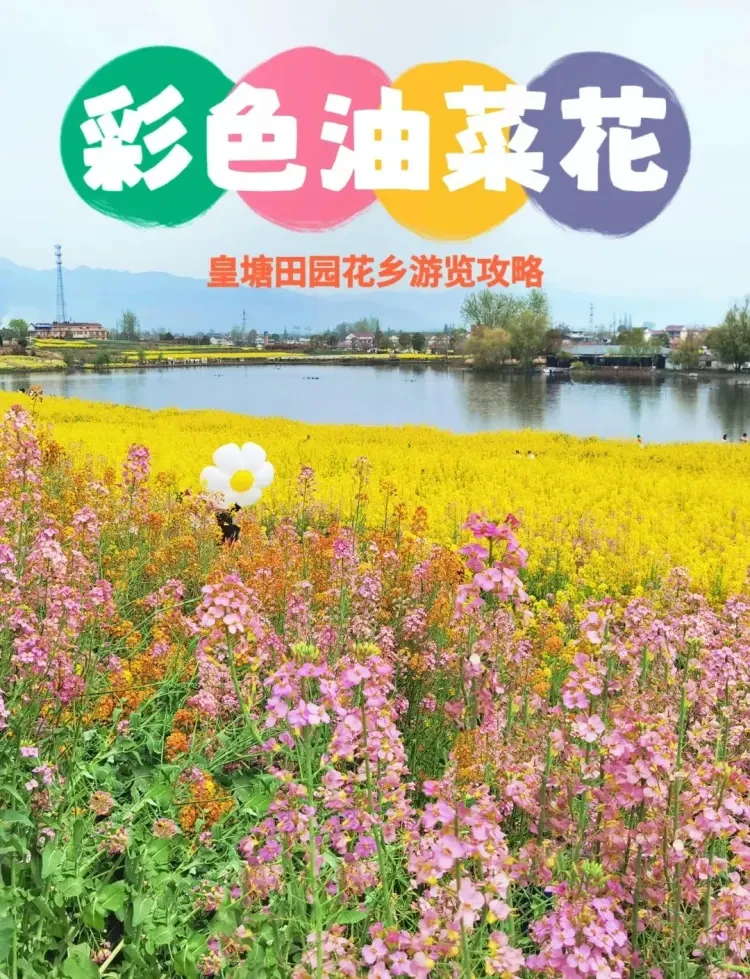 feeb7c74b2b35705504853fa384729da-sz_333845