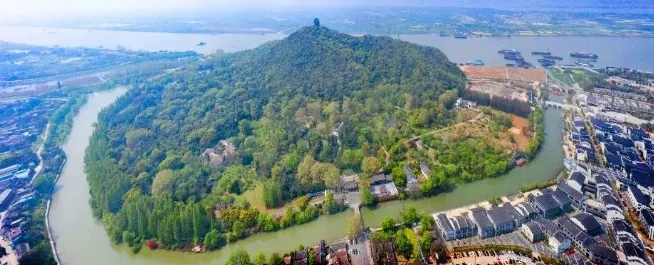 ff0f0d0968bfdf212e2bf806db9b797d-sz_532845