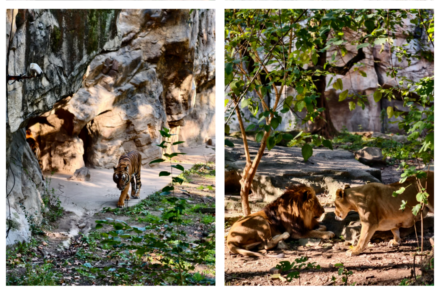 ff121f2ba9fce53343f83a4a7ff5deb3