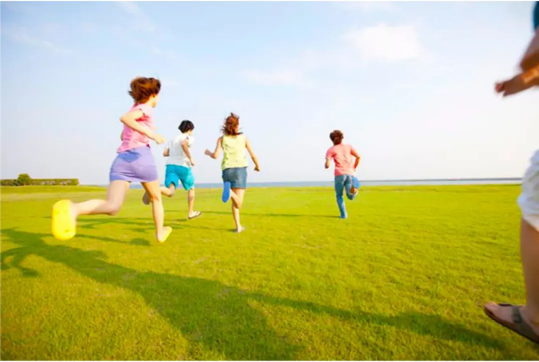 ff3a0fcbc285d899271a8fe7171f47e4-sz_135149