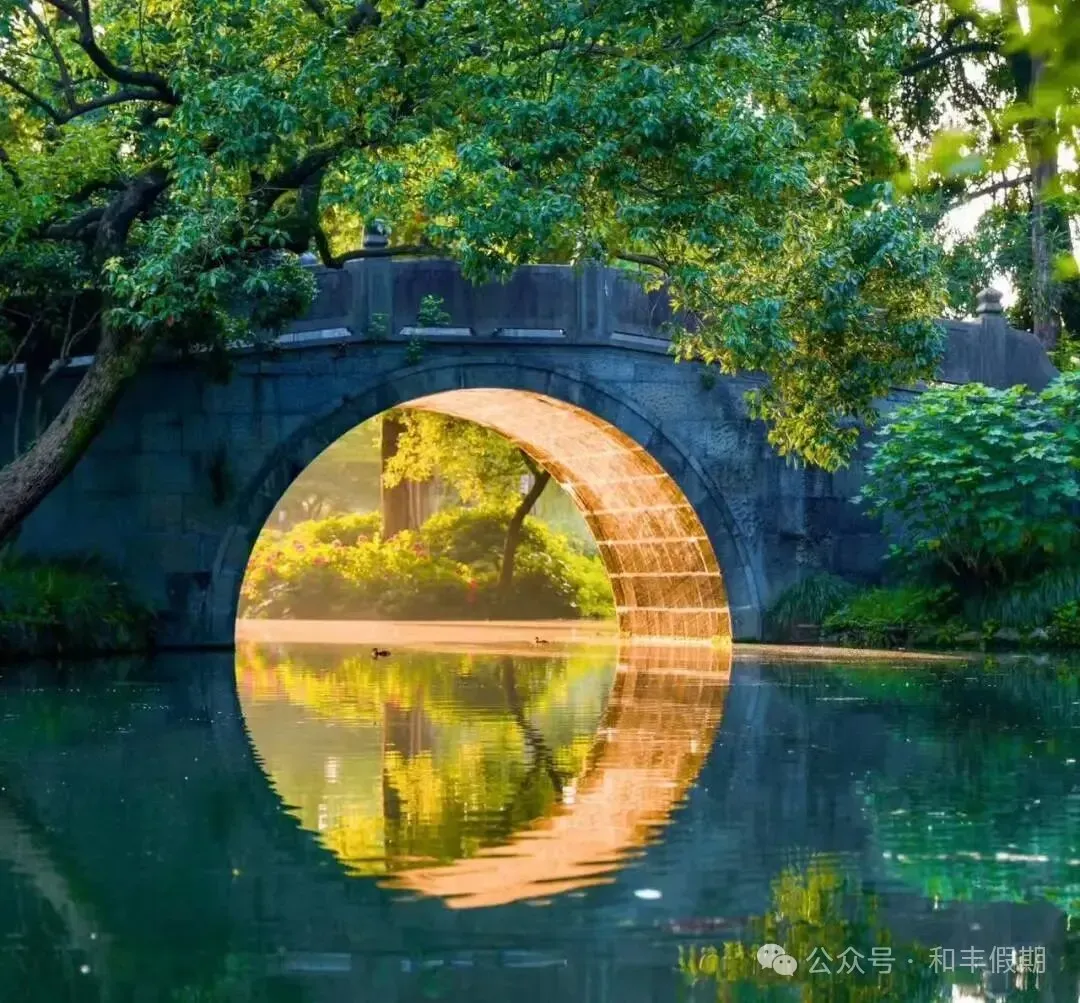 ff6d57a3805305fec4139959f9c7e5ce-sz_2612815