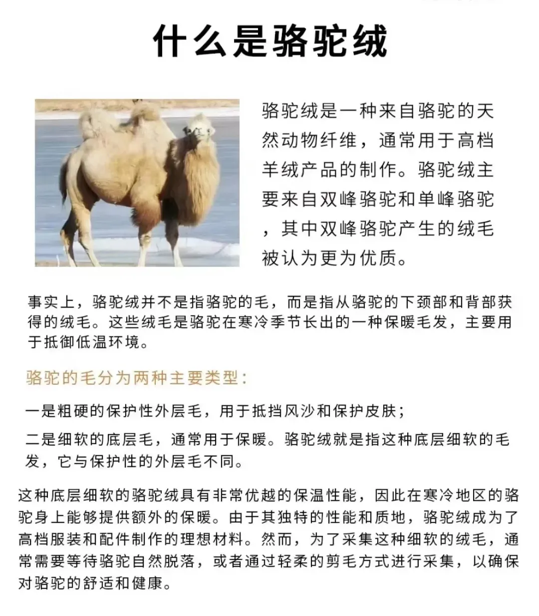 ffb2ca76585540714b952acf10b7b018-sz_773719