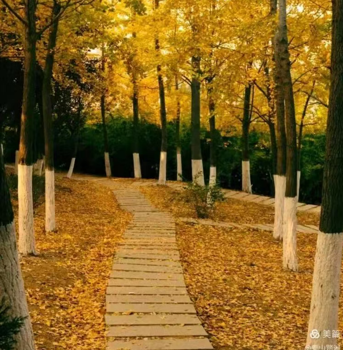 ffdf041b2da0ed637cbcf06ffbfafc7f