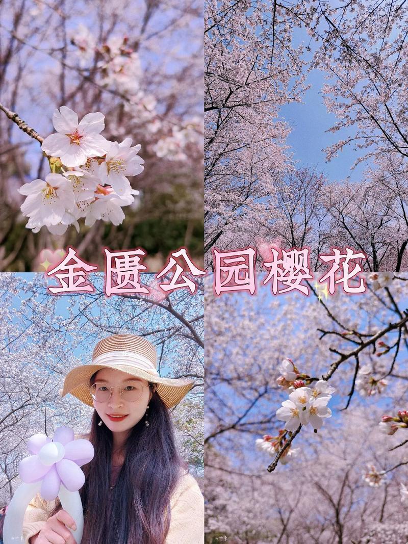 u3922378562511795660fm253fmtautoapp138fJPEG