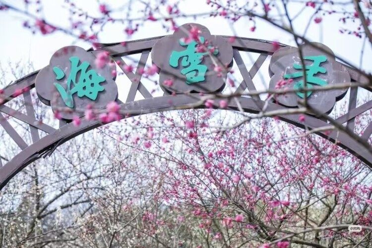 vtLS9In6mhr-PN5EiFs_q9BDcIDMnN6b