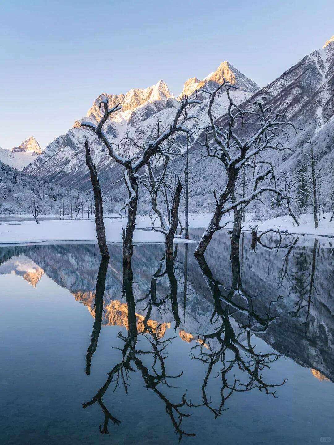 00000000ACSgJePaYVnKovBd