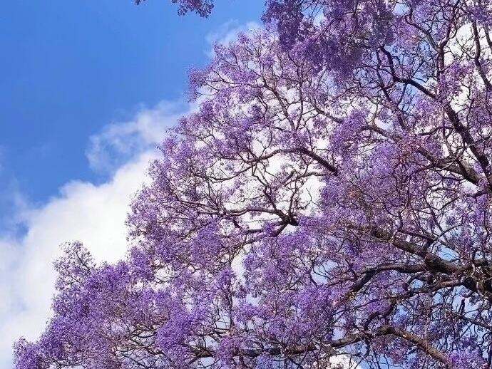 00000000AGjHotcSpvxdqLDE