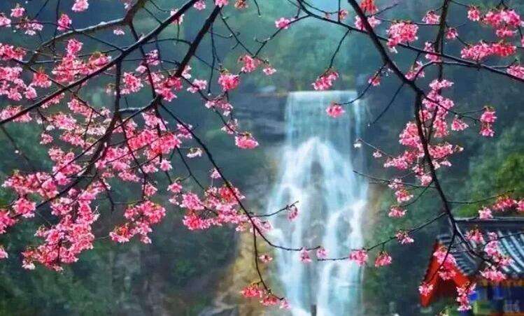 00000000AeumSvvdhlsxxcQd 00000000AeumSvvdhlsxxcQd