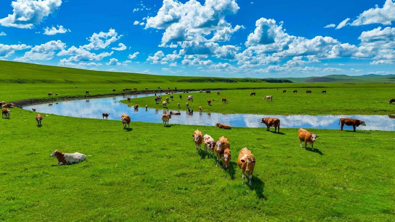 00000000BIYAfXXYBzudmDyG 00000000BIYAfXXYBzudmDyG