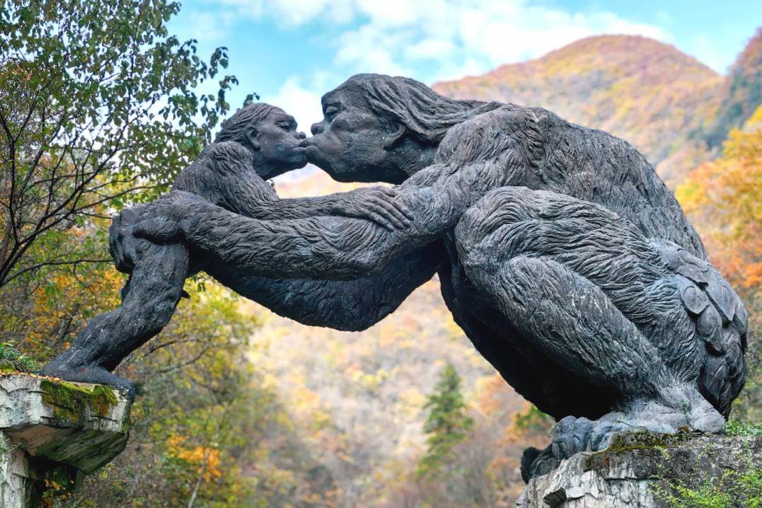 00000000BMyGNCCqAosAdHMR