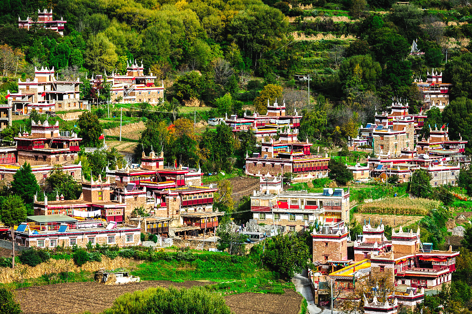 00000000BWBQAoRjPuYlvajb