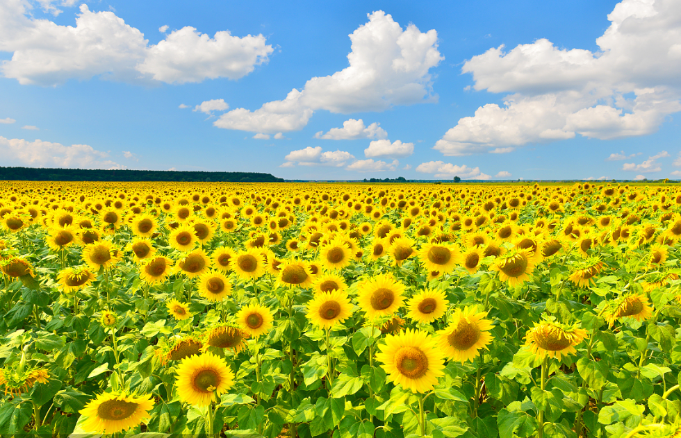 00000000BnfAYUZeFNFHiMHn