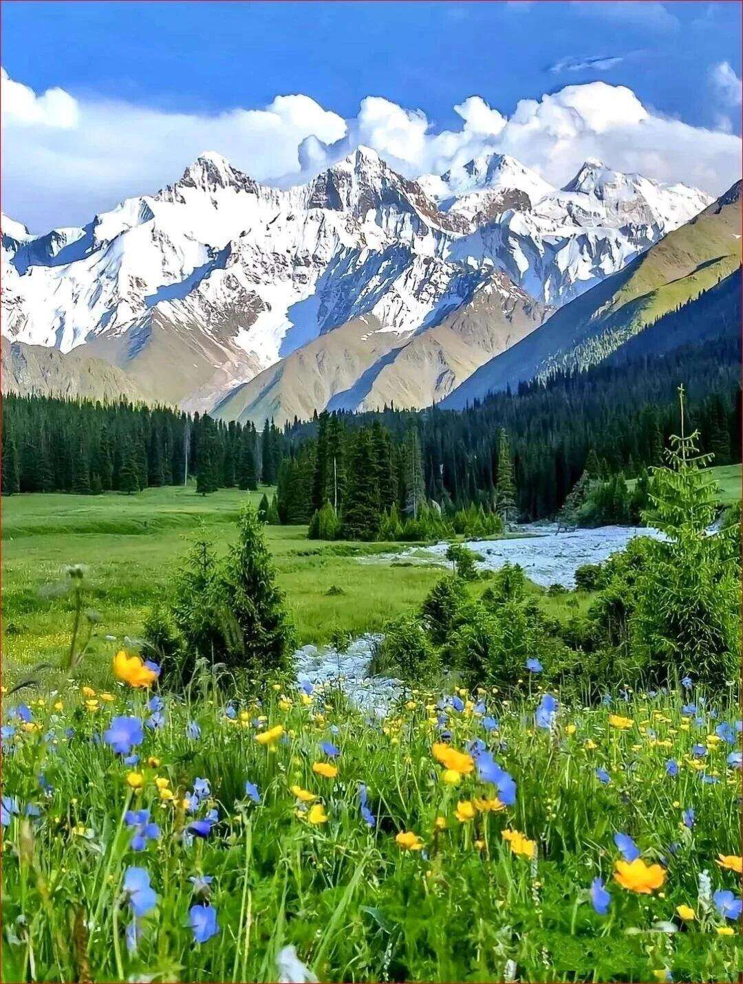 00000000CSDKZlZOVpMykUaW