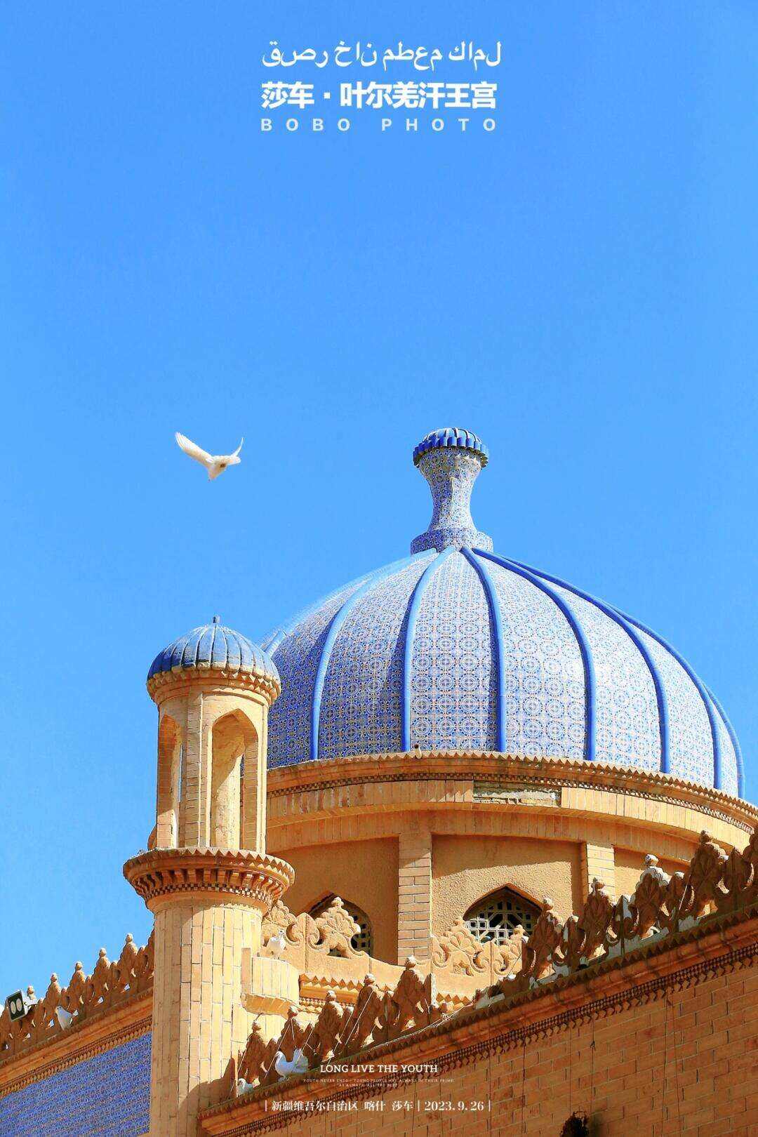 00000000CZgvFtnRiTHapaif 00000000CZgvFtnRiTHapaif