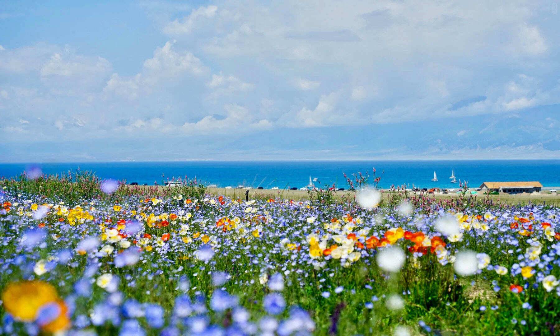 00000000CsBUddfYUQCkRliN 00000000CsBUddfYUQCkRliN