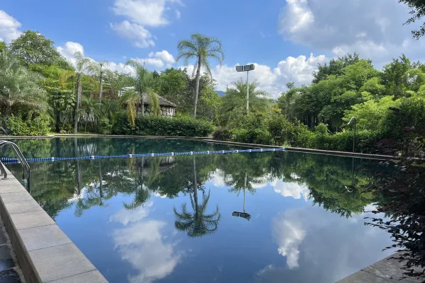 00000000DCJMOnWInIqQyRdp