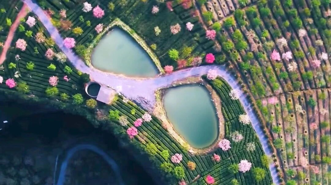 00000000DNSiiEltfuadbwXy-1